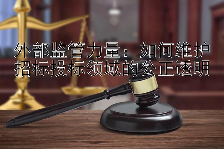 外部监管力量：如何维护招标投标领域的公正透明