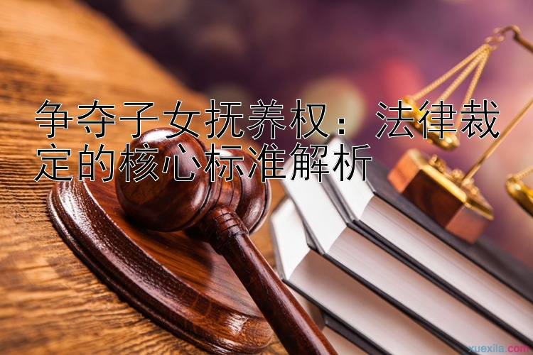 争夺子女抚养权：法律裁定的核心标准解析