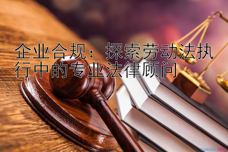 企业合规：探索劳动法执行中的专业法律顾问