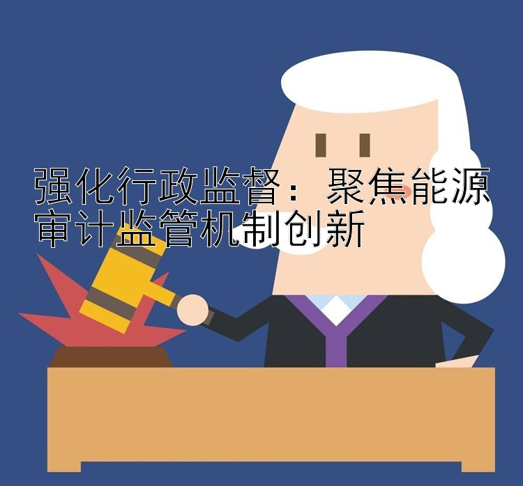 强化行政监督：聚焦能源审计监管机制创新