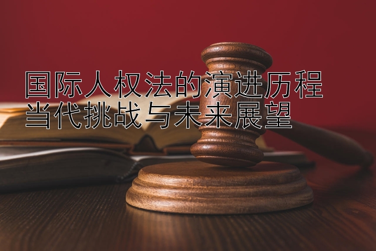 国际人权法的演进历程  
当代挑战与未来展望