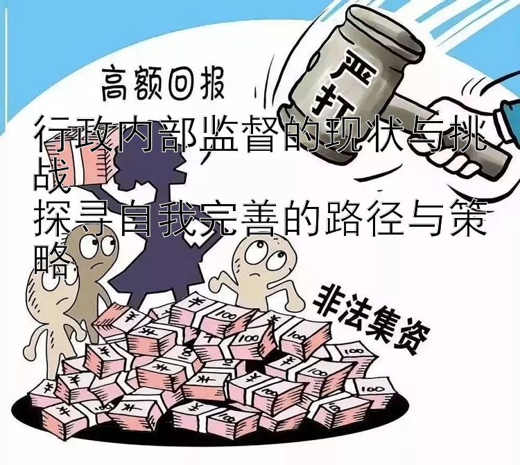 行政内部监督的现状与挑战  
探寻自我完善的路径与策略