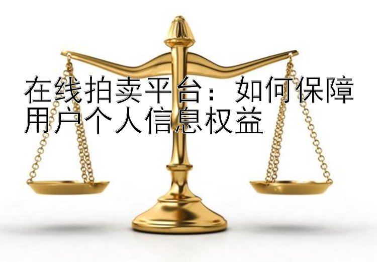 在线拍卖平台：如何保障用户个人信息权益