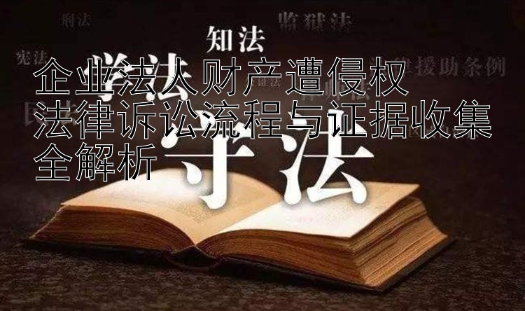 企业法人财产遭侵权  
法律诉讼流程与证据收集全解析