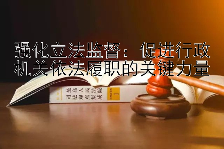 强化立法监督：促进行政机关依法履职的关键力量