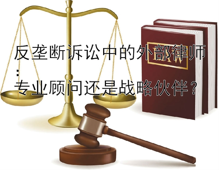 反垄断诉讼中的外部律师：  
专业顾问还是战略伙伴？