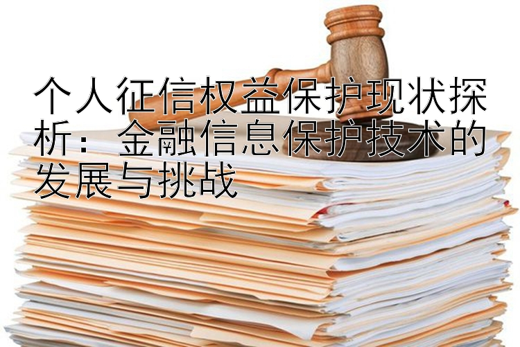 个人征信权益保护现状探析：金融信息保护技术的发展与挑战